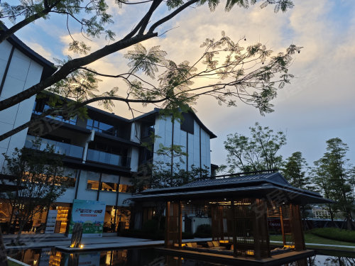 美丽庭院新皂镇梅家沟村开展庭前小园暨美丽庭院建设培训会